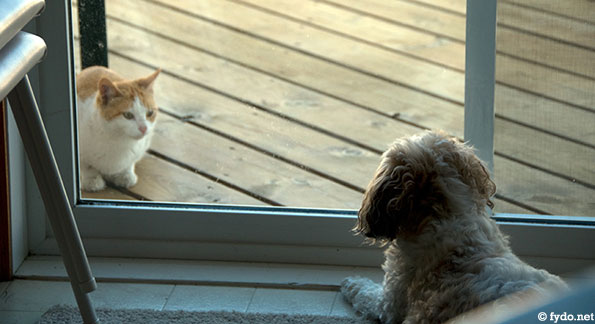 Standoff!